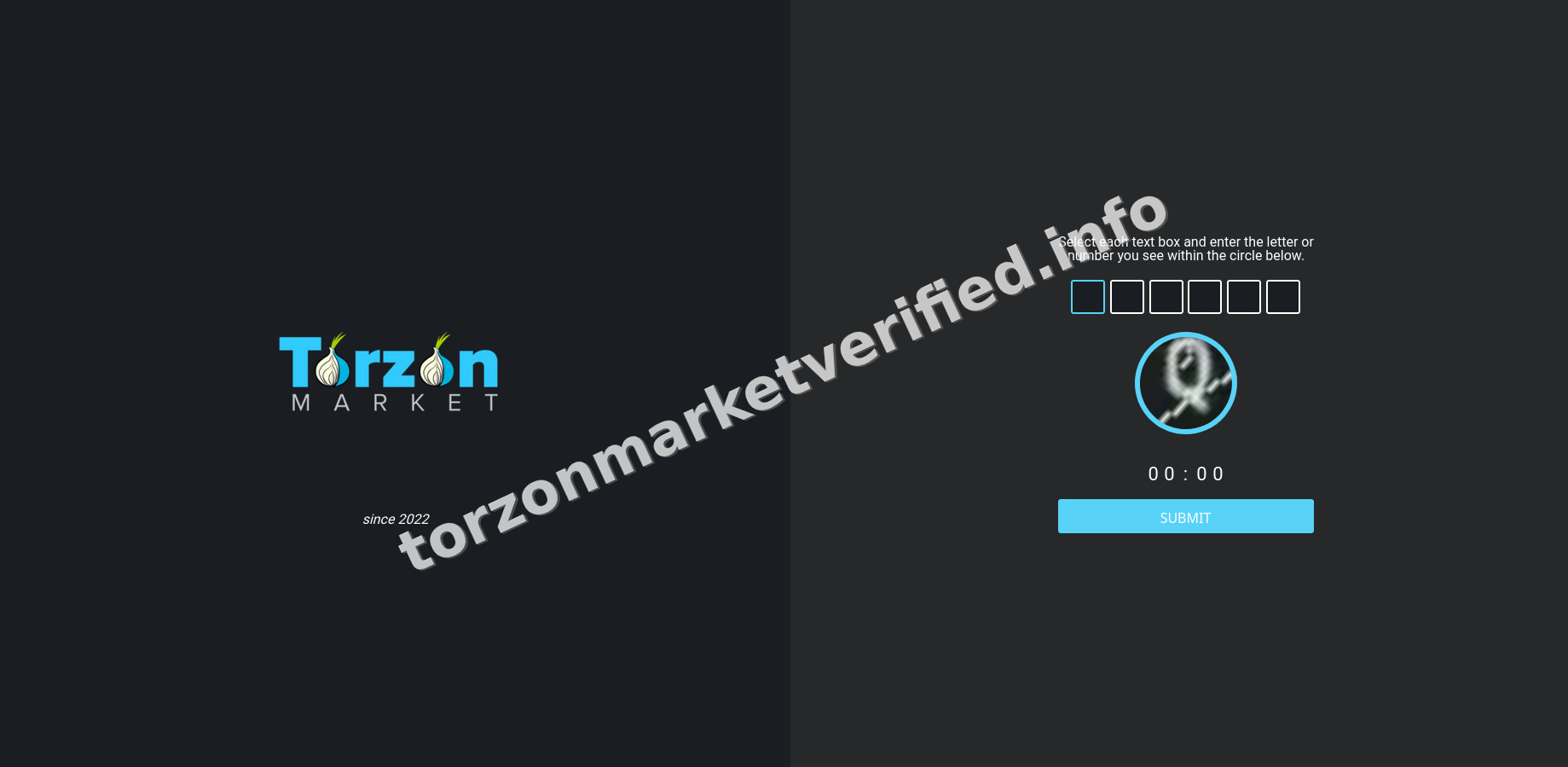 Torzon Market Verified interface — view 4